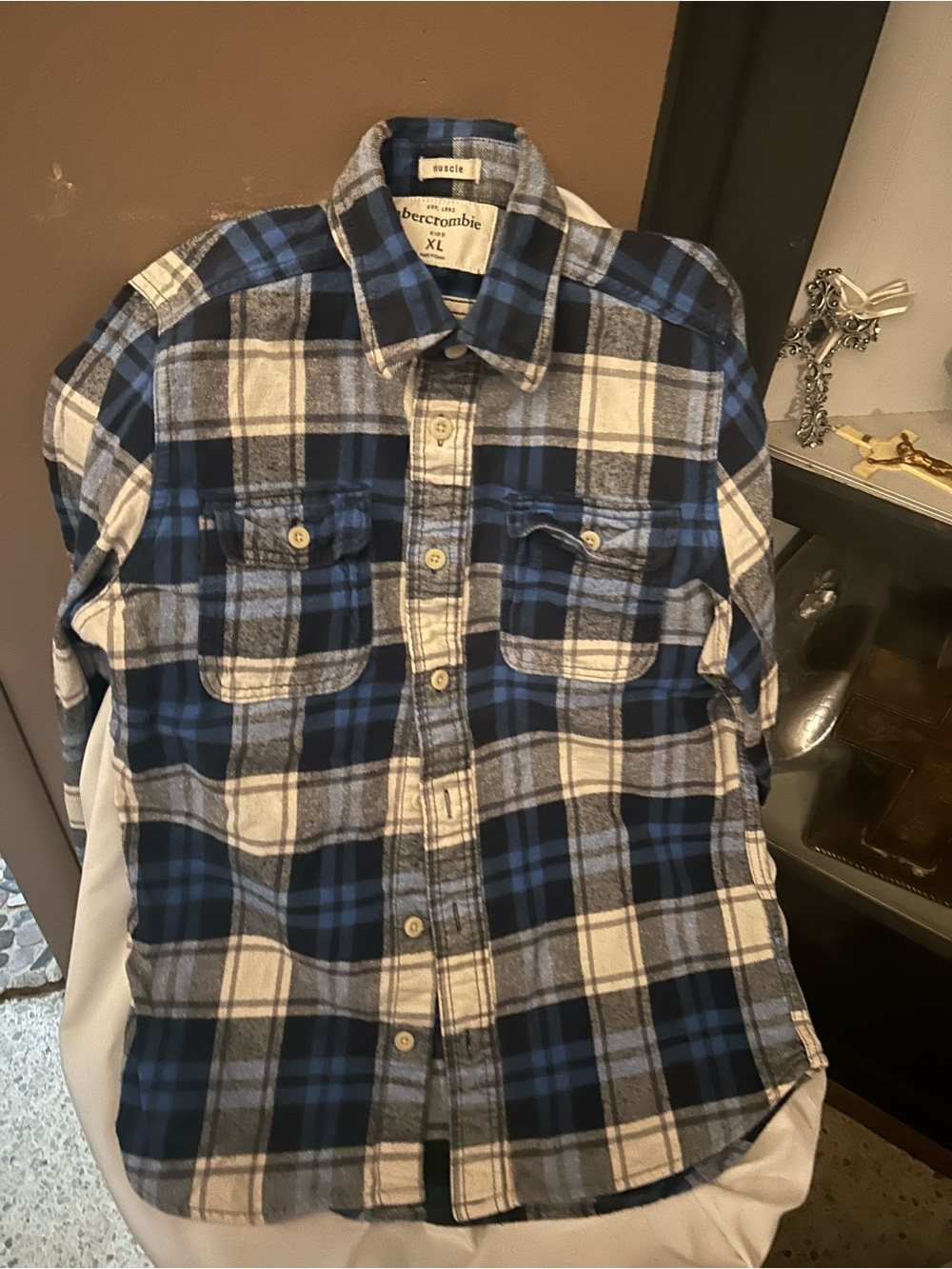 Abercrombie & Fitch Kids Blue & White Plaid Flannel Shirt - XL